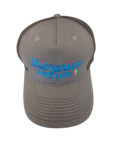 Gray baseball cap with embroidered “Libraries Are Life” text in blue and multicolor accents.