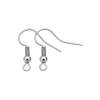 image of stainless steel pair of fishhook earring findings.